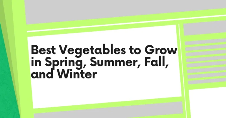 What to Grow in Spring, Summer, Fall, and Winter
