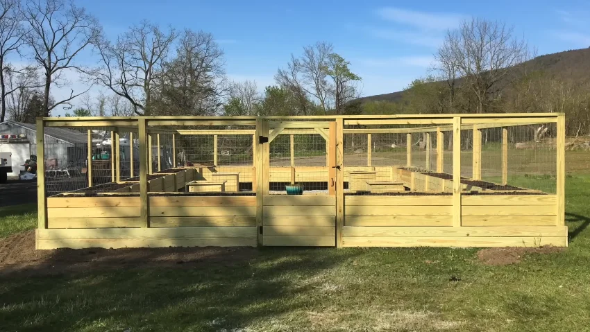 Container-Garden-Layout