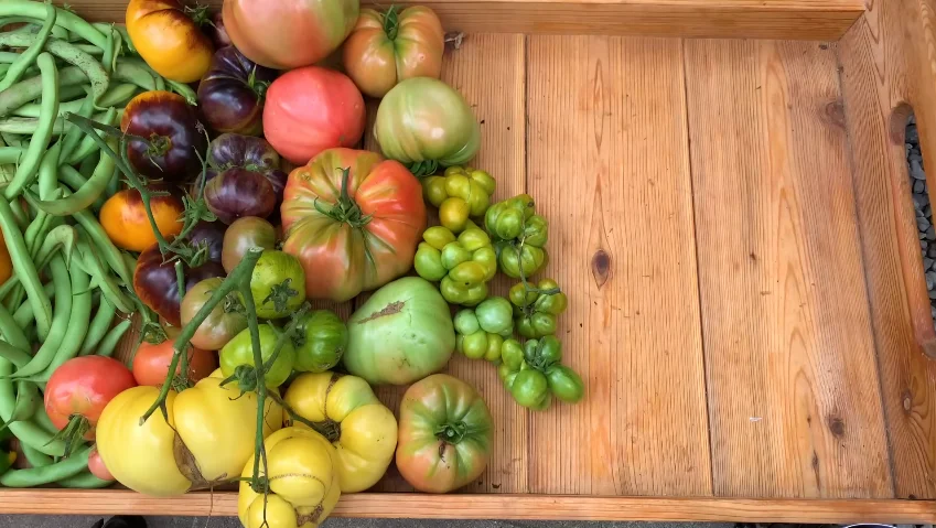 seasonal vegetable harvest basket