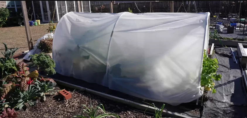 row cover garden bed