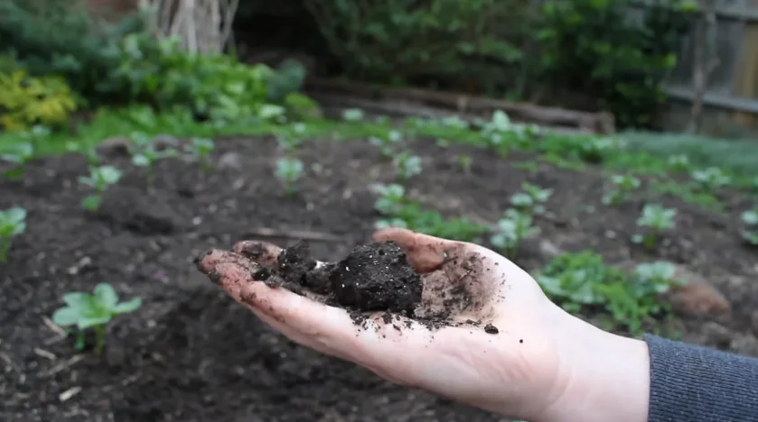 Soil squeez test