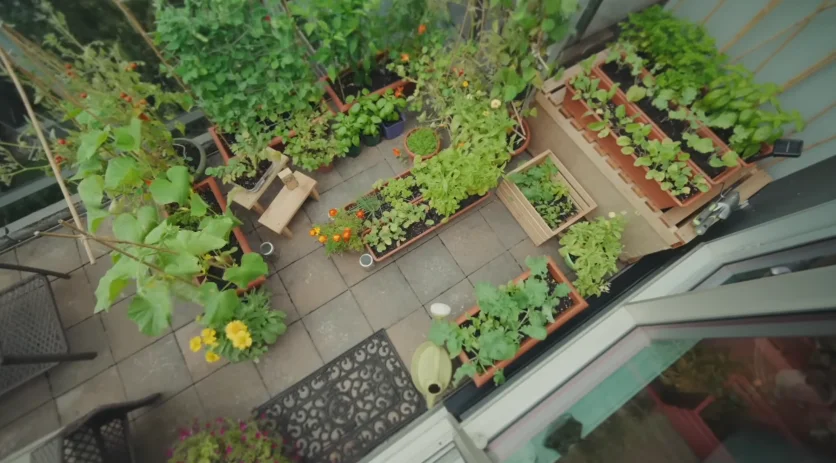 balcony vertical garden