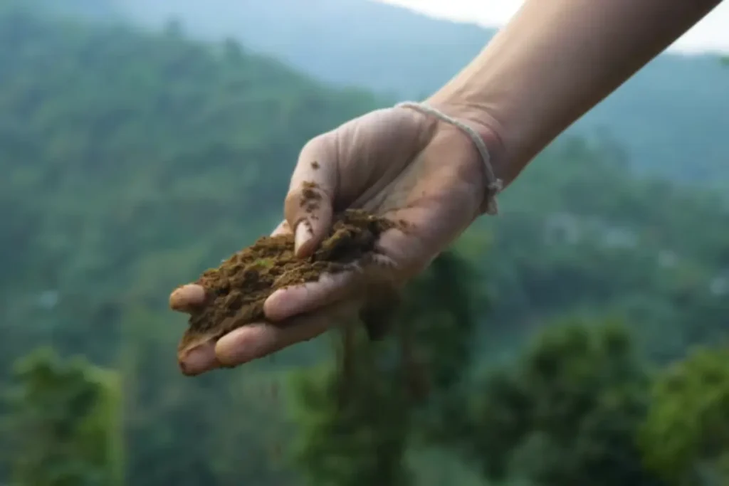 Soil texture close-up