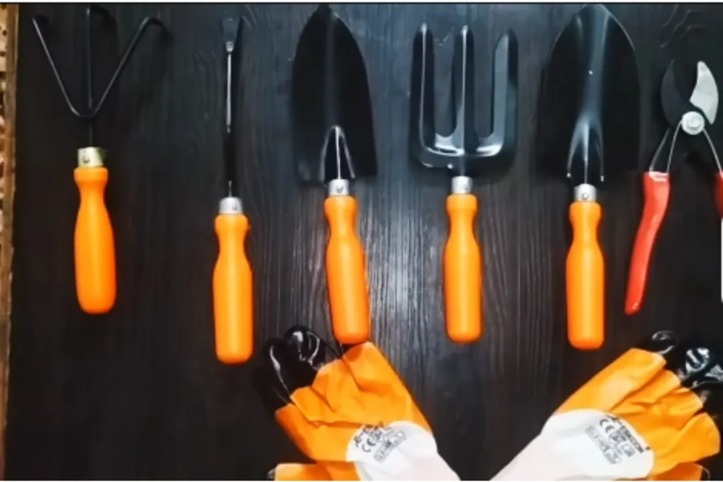 Essential Beginner Tools for garden