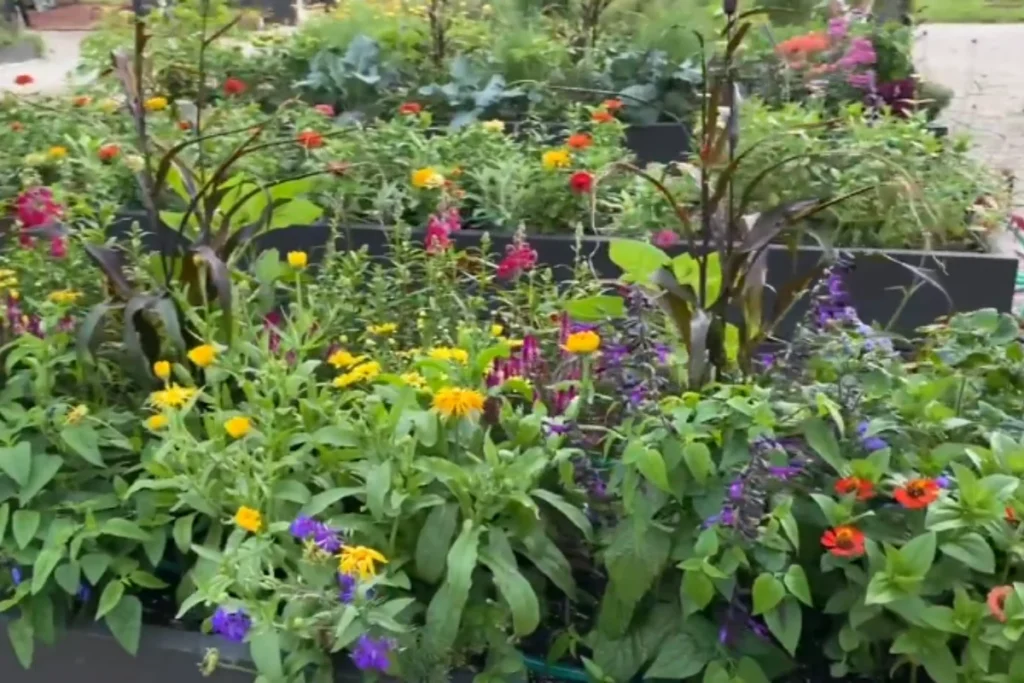 a garden front