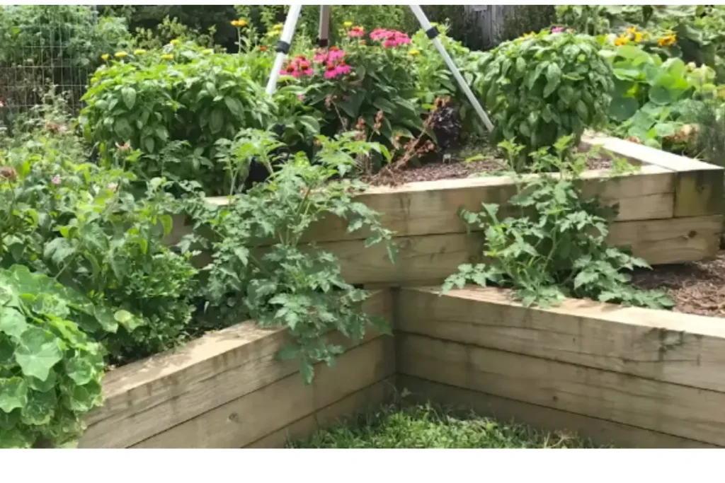 planting a garden in container
