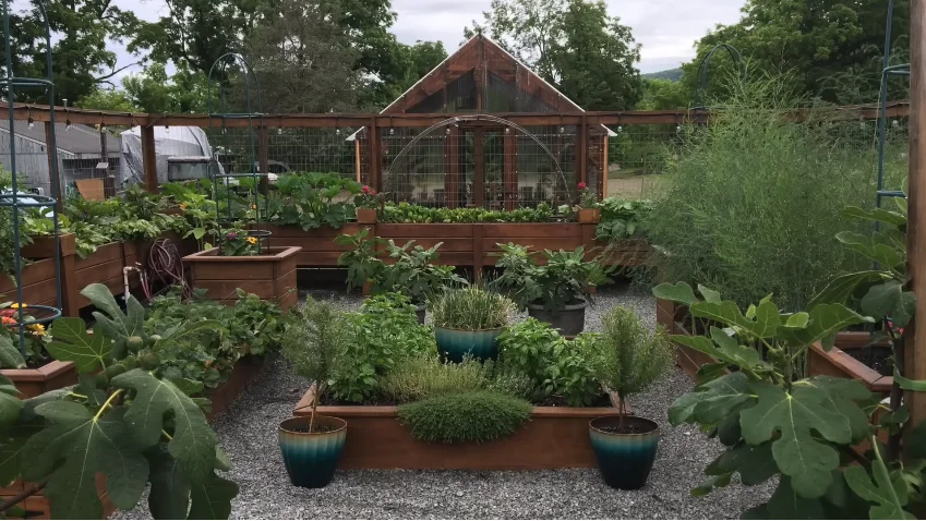 layput-garden-homecove