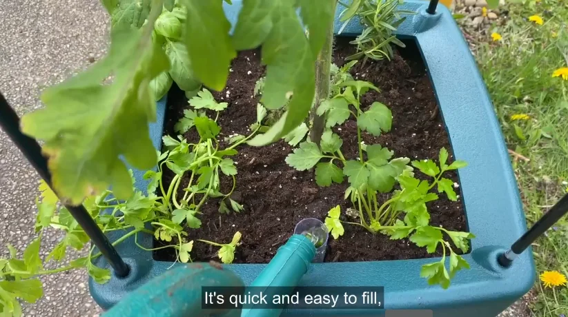 Self-watering planter or grow bag