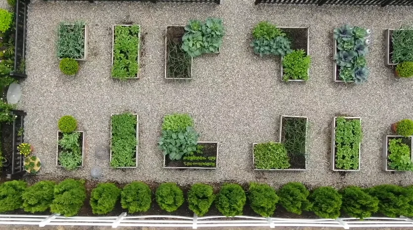 sky over view of garden layout