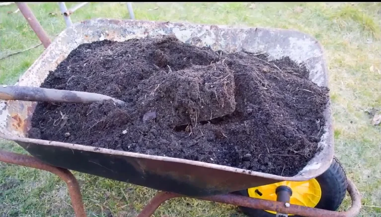 Compost